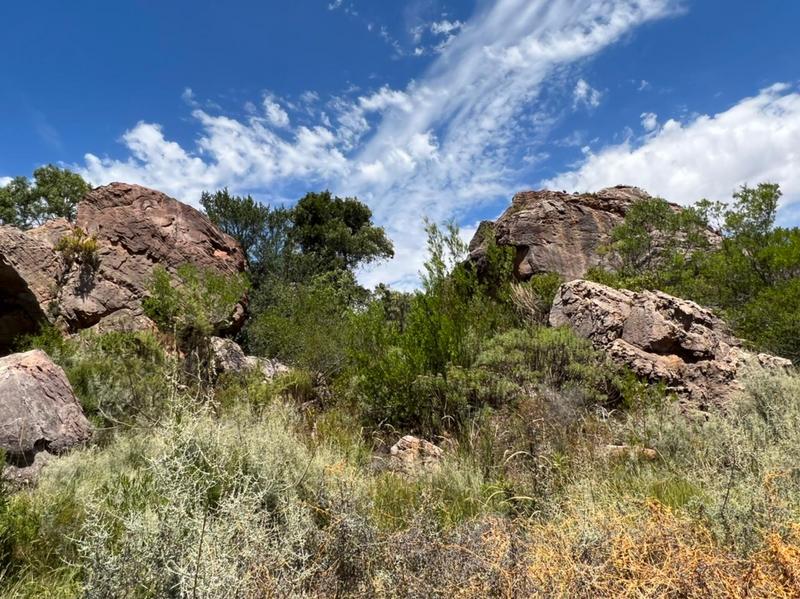 0 Bedroom Property for Sale in Piketberg Rural Western Cape